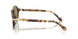 623214 - Tortoise - Green