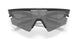 949901 - Black - Prizm Black Polarized