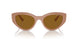 312183 - Beige - Dark Brown Polarized
