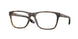 802404 - Tortoise