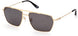 BMW 0044H Sunglasses