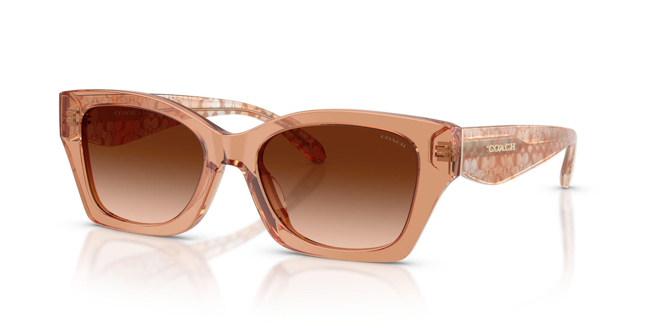 593774 - Brown - Brown Gradient