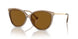 3938T5 - Brown - Brown Gradient Polarized