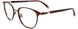 10 - Matt Dark Brown/Dark Brown Crystal & Light Brown