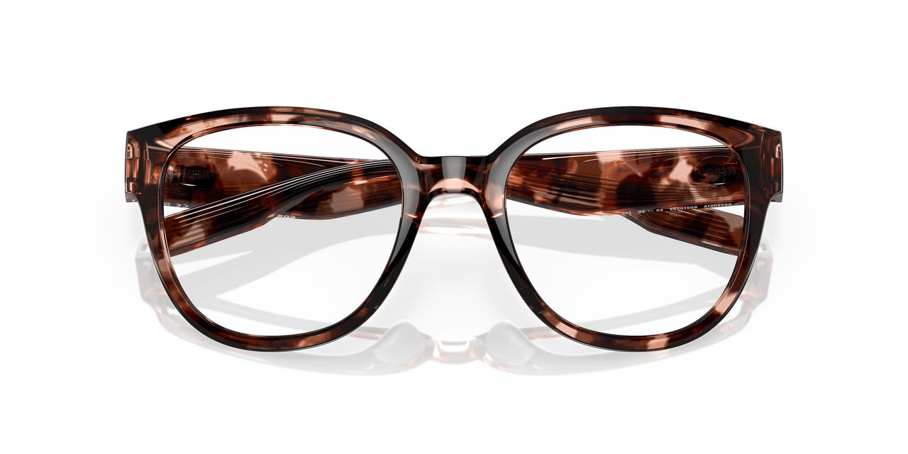 905103 - Tortoise