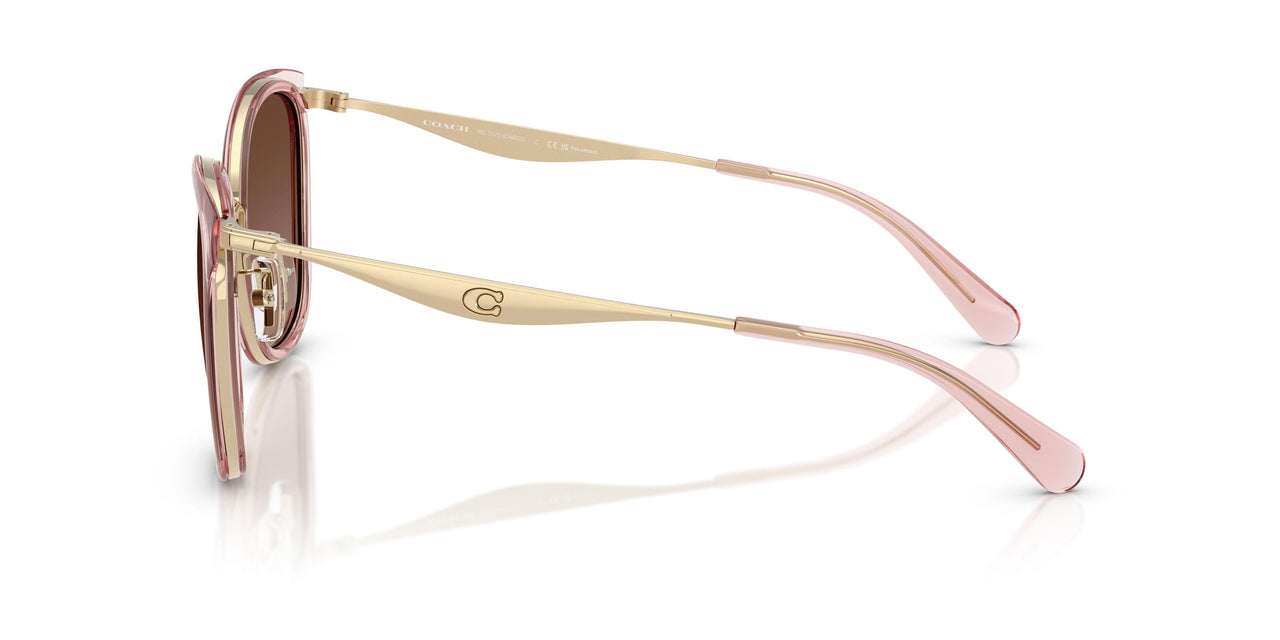 9469T5 - Gold - Brown Gradient Polar