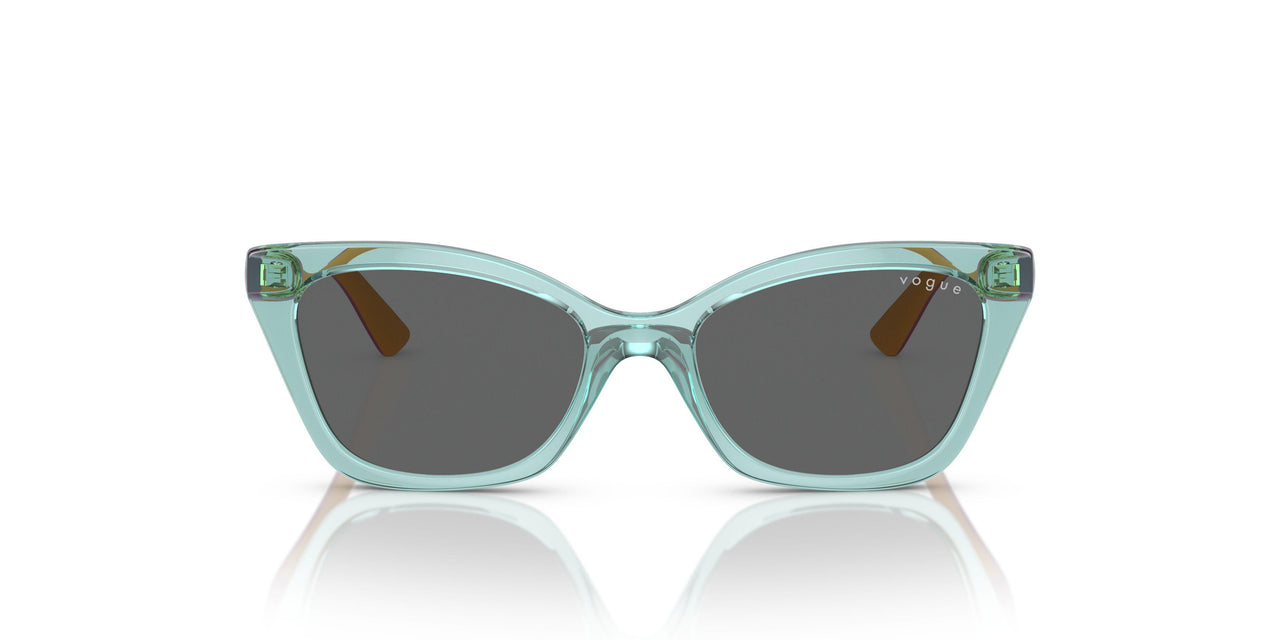303287 - Transparent Sage - Dark Grey