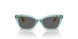 303287 - Transparent Sage - Dark Grey