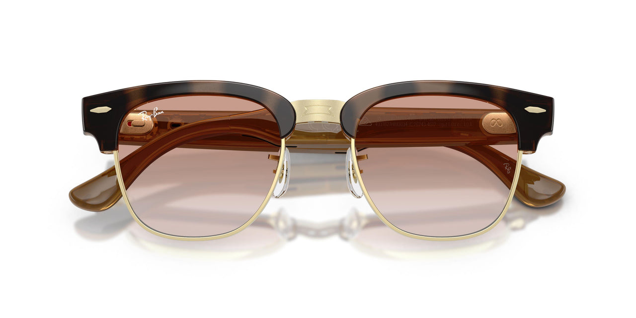 692813 - Tortoise - Gradient Brown