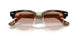 692813 - Tortoise - Gradient Brown