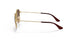 223/13 - Gold - Brown Gradient