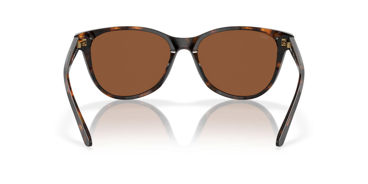 201201 - Tortoise - Copper