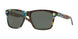 200506 - 204 Shiny Ocean Tortoise - Gray 580g
