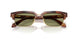 630214 - Brown - Green