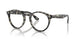 8117 - Grey - Clear