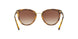 W65613 - Brown Gradient