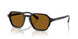 587553 - Black - Brown