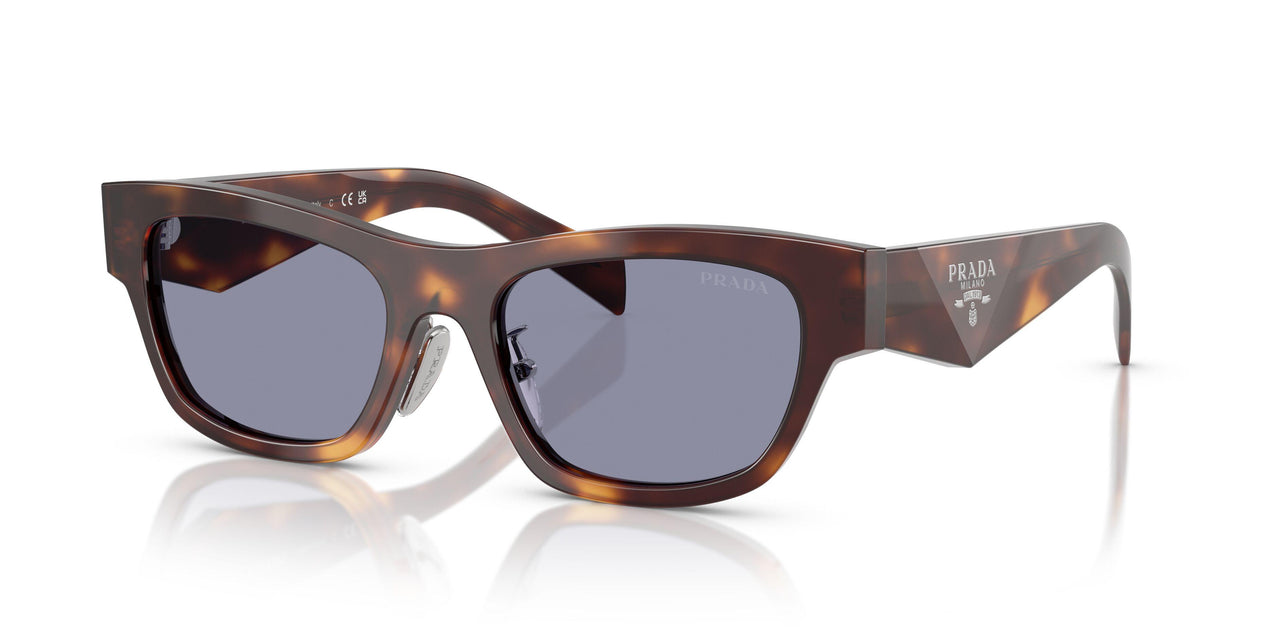 15W03N - Tortoise - Grey