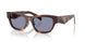 15W03N - Tortoise - Grey
