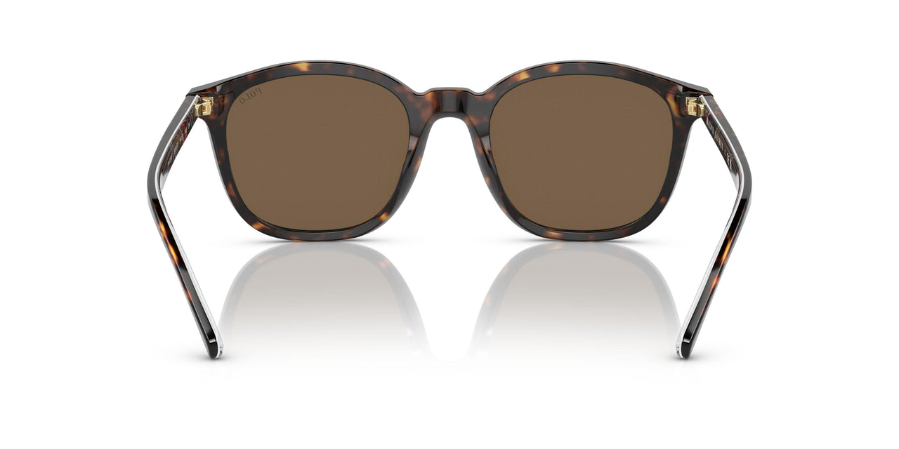 500373 - Brown - Brown