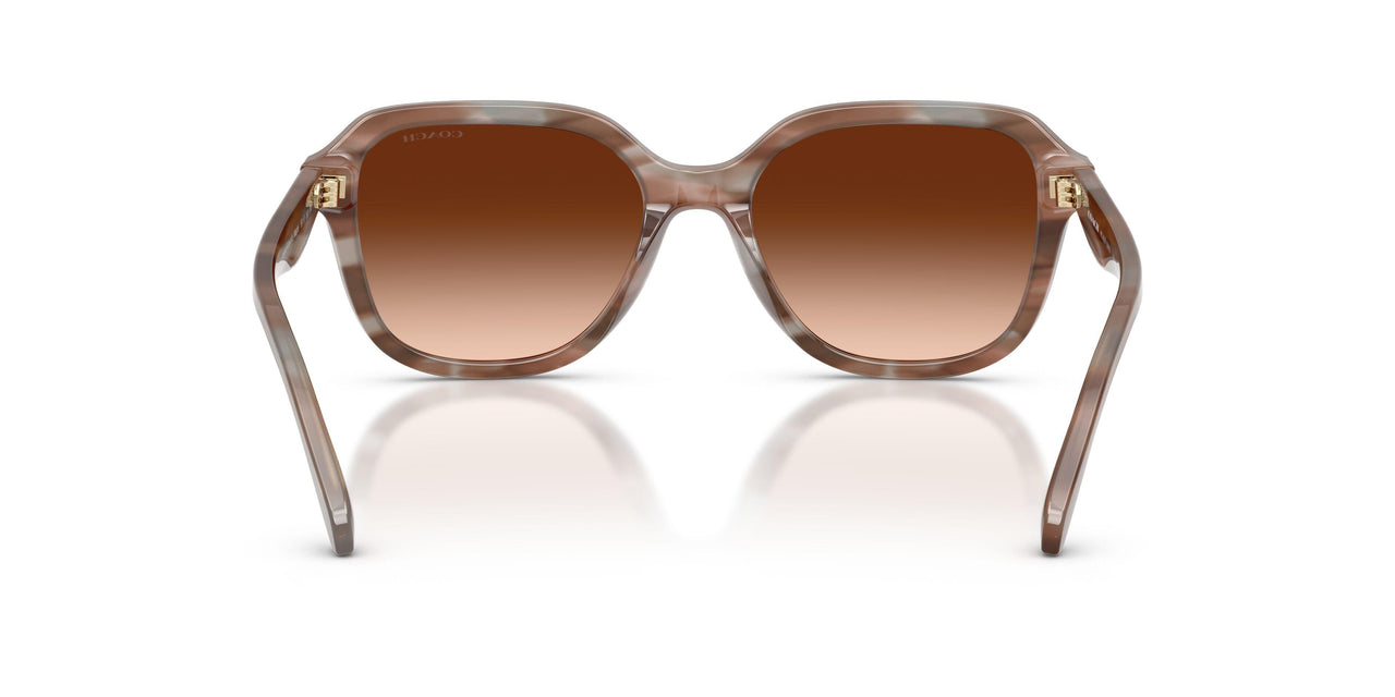 590174 - Brown - Brown Gradient