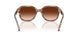 590174 - Brown - Brown Gradient
