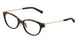 8015 - Tortoise