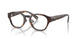 2003 - Tortoise
