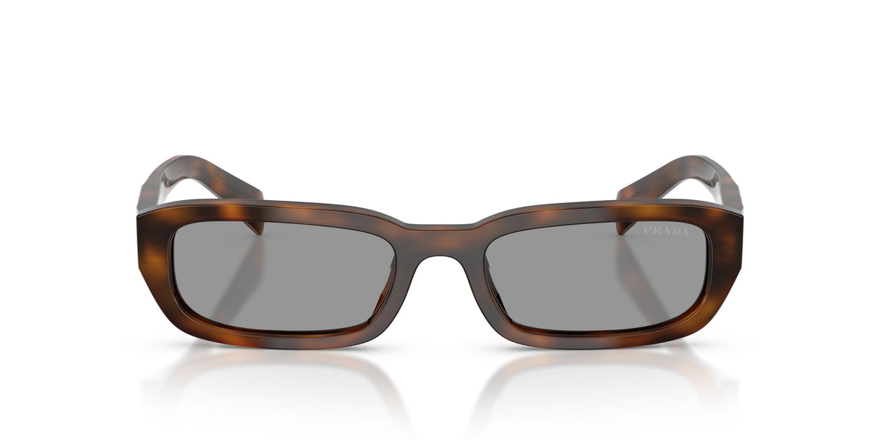 20D50Q - Havana - Grey