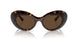 108/73 - Tortoise - Dark Brown