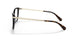 3500 - Brown