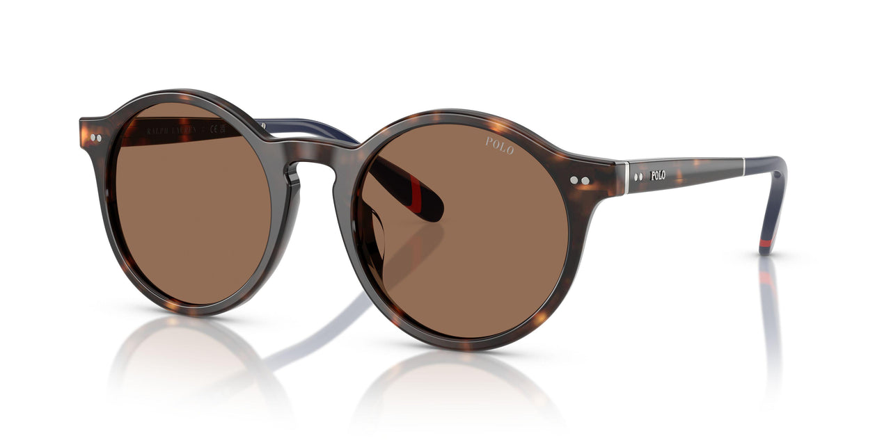 567373 - Tortoise - Dark Brown