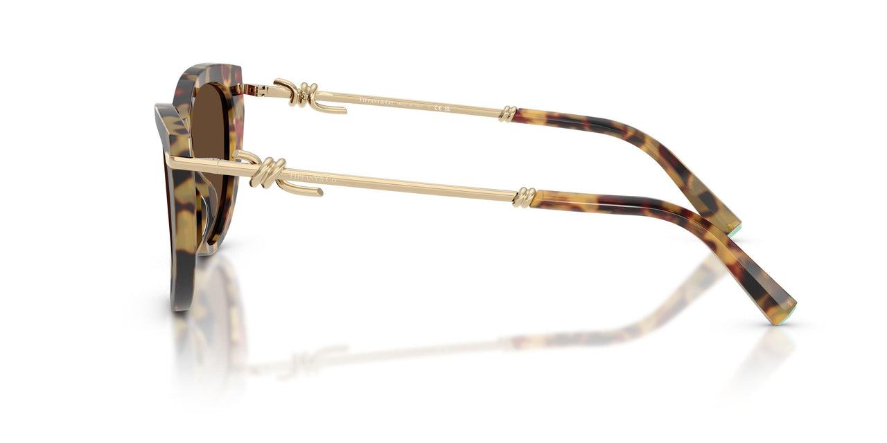 80643G - Tortoise - Light Brown
