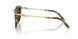 80643G - Tortoise - Light Brown