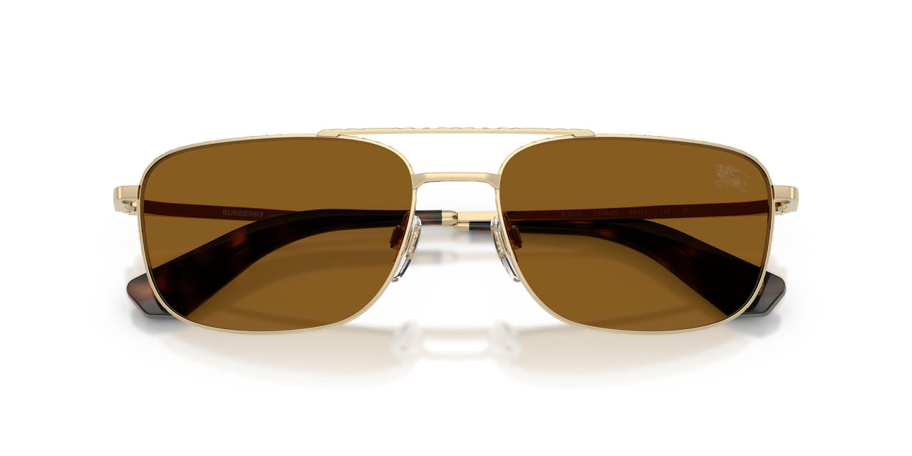 110983 - Gold - Polar Brown