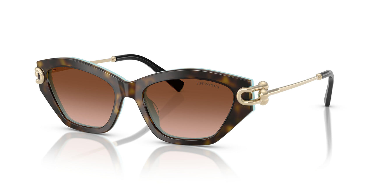 Tiffany 4231U Sunglasses
