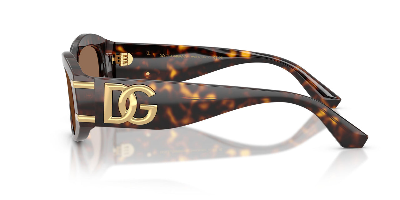 502/73 - Tortoise - Dark Brown