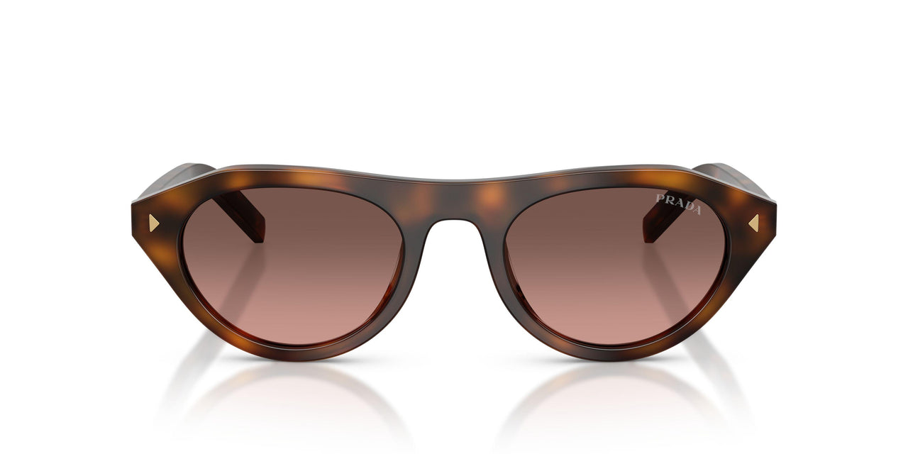 20D11C - Tortoise - Brown Gradient Grey