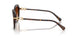 100274 - Tortoise - Gradient Brown