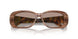 307113 - Brown Horn - Clear Gradient Brown