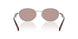 1BC20I - Silver - Light Purple Brown