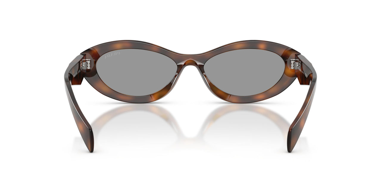 20D50Q - Havana - Grey