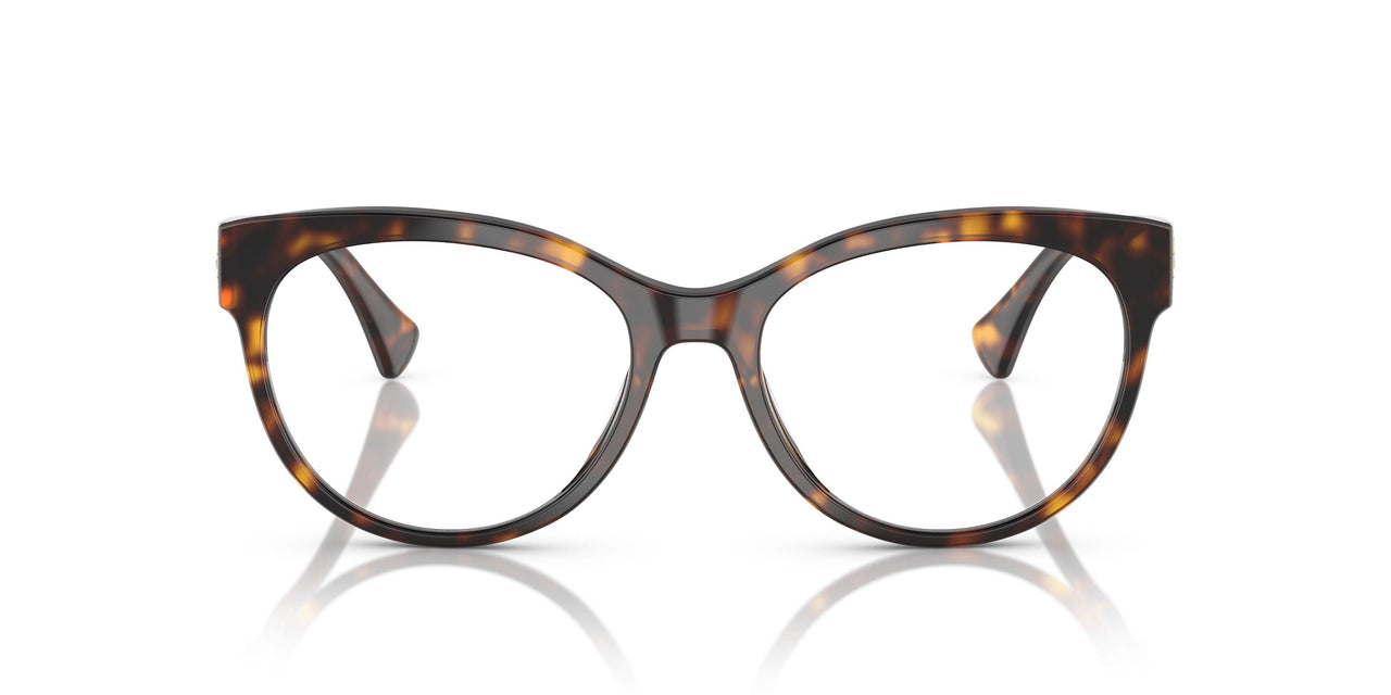 5003 - Tortoise