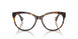 5003 - Tortoise
