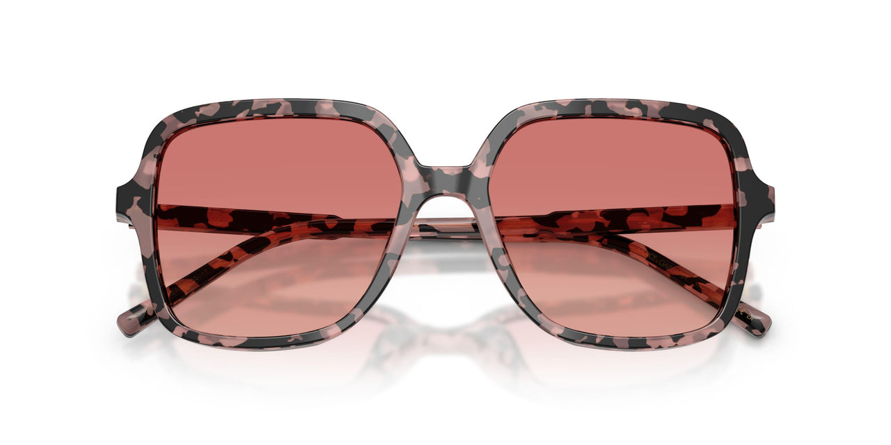 3476A5 - Tortoise - Pink Gradient Red