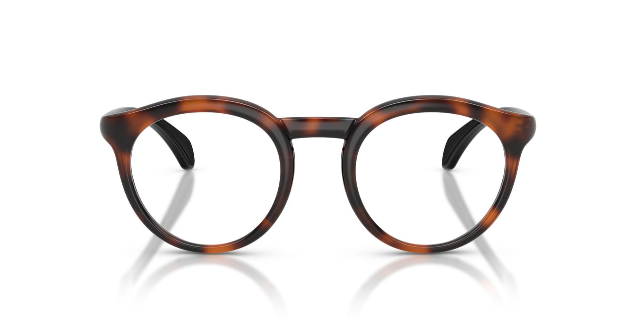 5039 - Tortoise