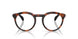 5039 - Tortoise