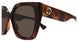 005 - Havana - Brown