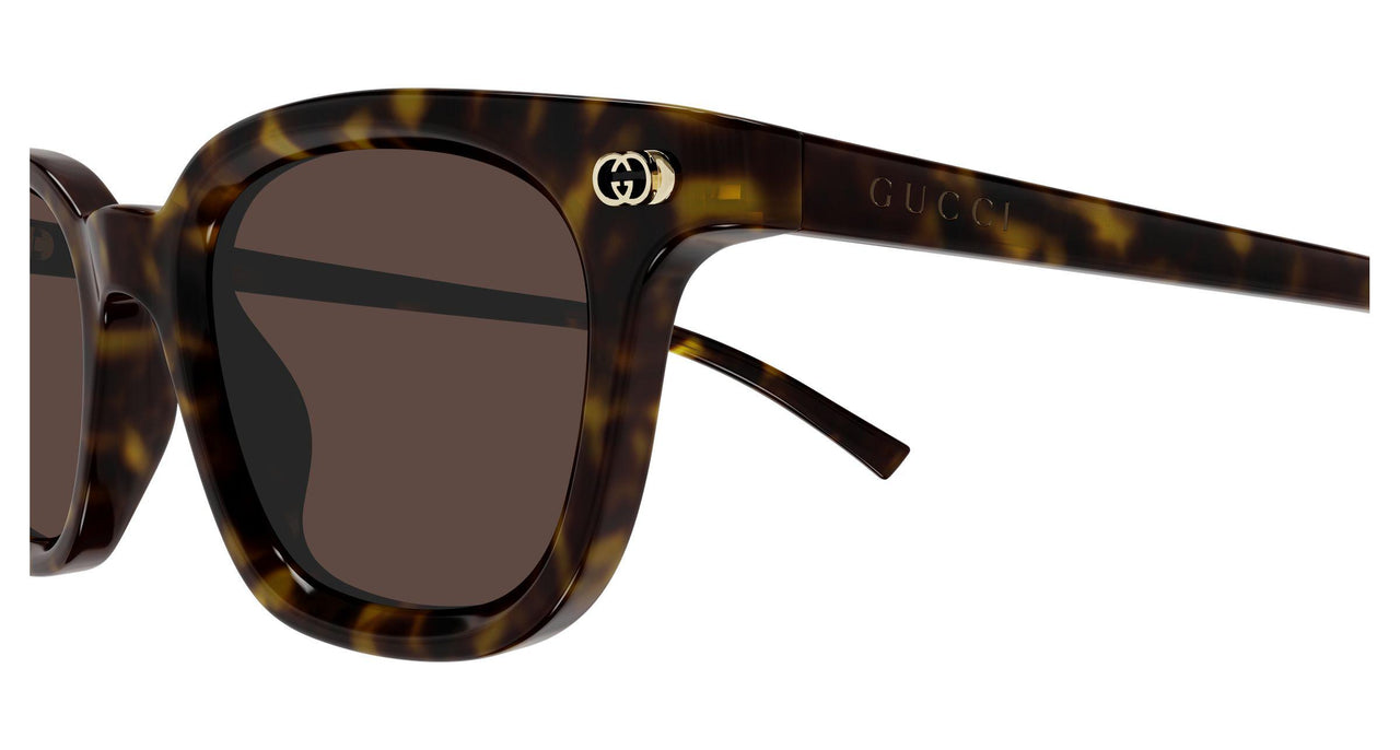 002 - Havana - Brown