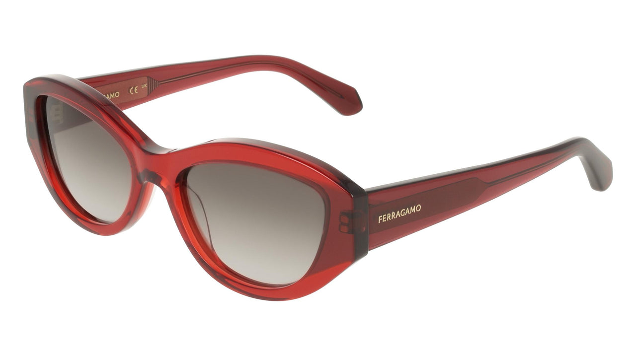 Salvatore Ferragamo SF2104S Sunglasses